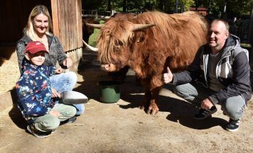 Tierpatenschaft im Tierpark Stadt Haag sorgt bei Tragweinerin für unvergesslichen 40. Geburtstag 