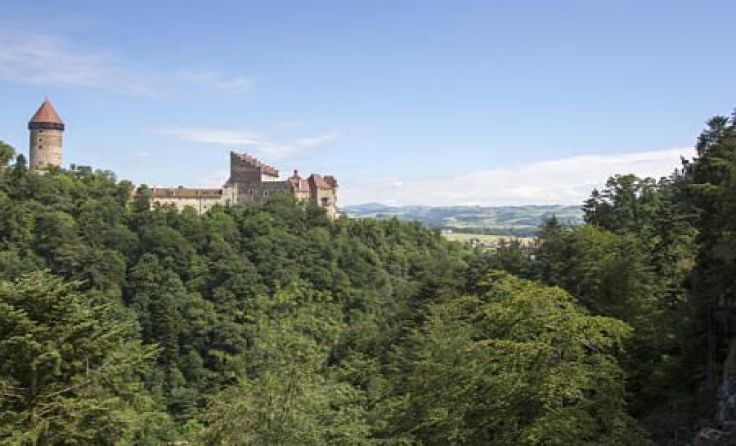 Foto: FriedWald/ J. Moritz