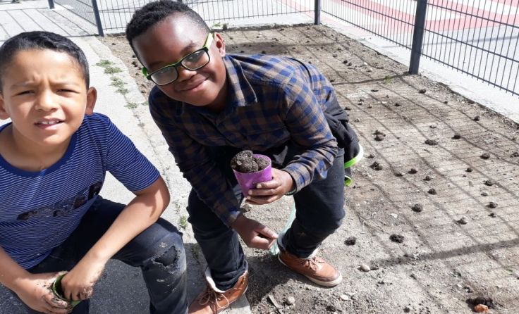 Auch die Schüler helfen mit, dass Insekten in Mauthausen Nahrung bekommen. Foto: Gruber
