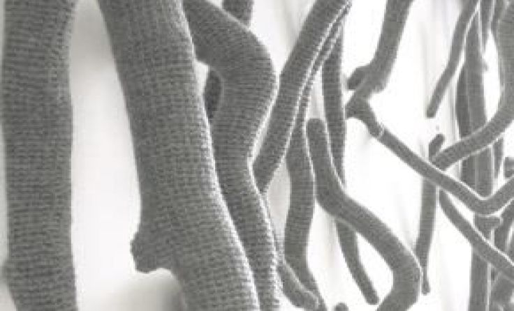 driftwood (Fundobjekte Wolle) von Barbara Bernsteiner