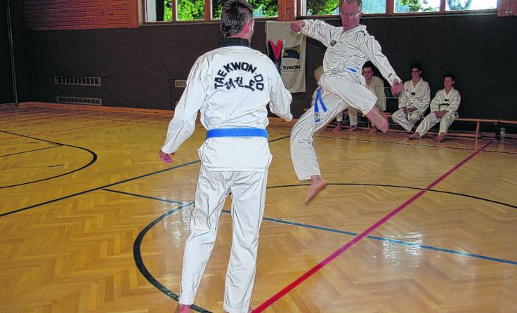 Elf Diersbacher Taekwondo-Sportler traten bei der Gürtelprüfung an.
