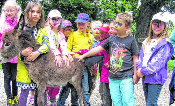 Das Eselfohlen wurde von den Kindern sofort ins Herz geschlsosen