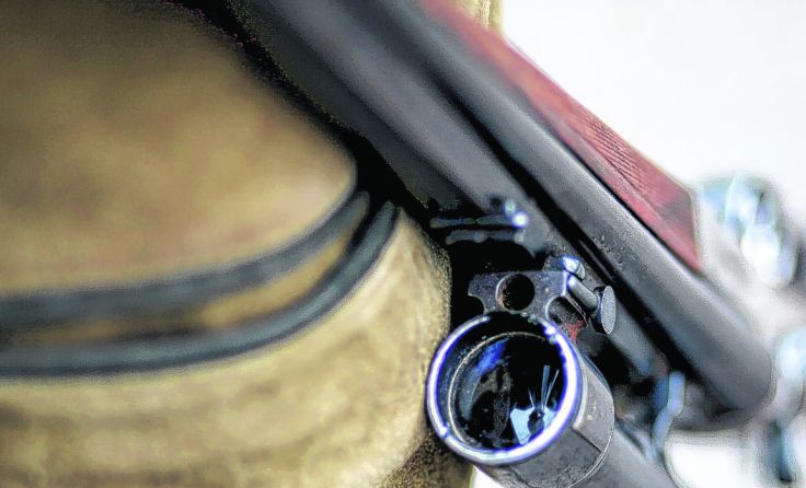 Mit einem Jagdgewehr zielte der Mann auf seine Frau. Foto: Symboldbild/Weihbold
