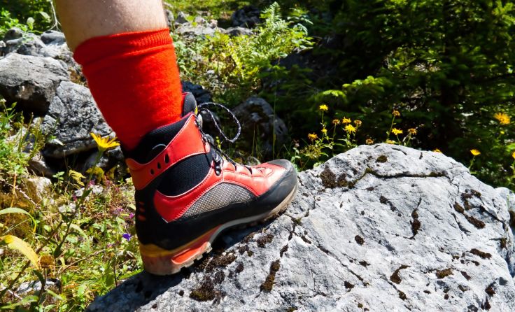 Kraft tanken und die Natur genießen beim Wandern durch die Koaserin am 2. April. Foto: Wodicka
