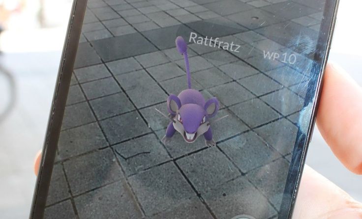 Die Pokemons versteckten sich in der Nähe einer Cannabisaufzucht.