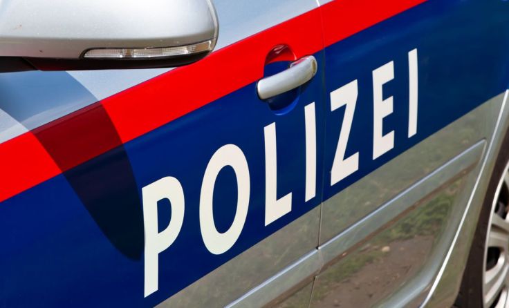 Die Diebe wurden gefasst und angezeigt. Foto: Wodicka