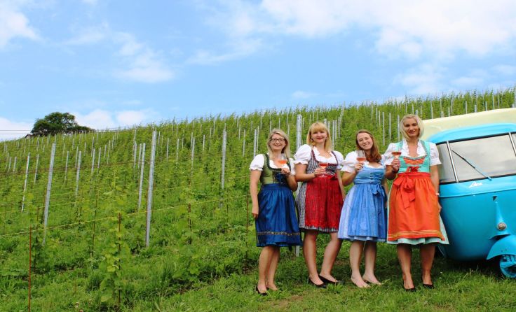Ein Muss für alle Weinfreunde: Das Weindorf in Schlüßlberg. Fotos: Gemeinde