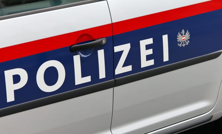 Der Mann stieß mit seinem Auto gegen eine Thujenhecke. Foto: Wodicka