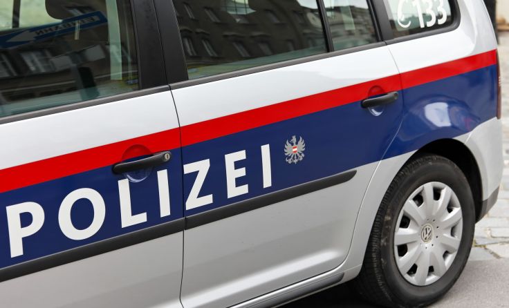 Der 18-jährige musste niesen und verriss sein Auto. Foto: Wodicka