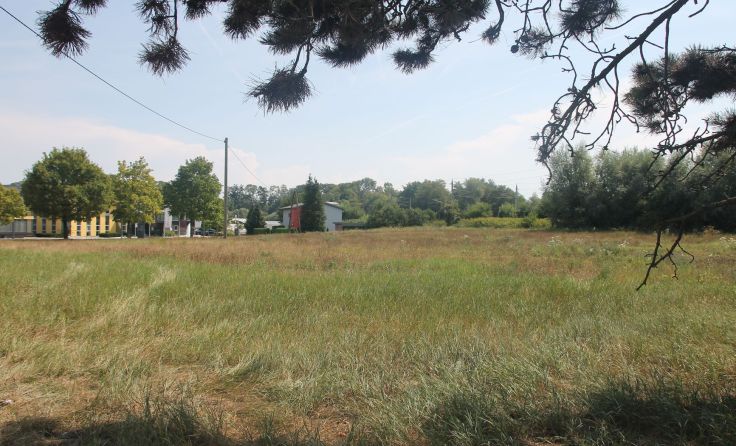 Auf dieser Wiese im Gewerbegebiet will Lidl einen Standort errichten. Foto: LangS