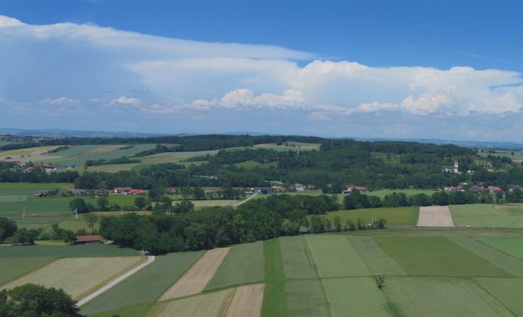 In diesem Gebiet plant Pöttinger eine Betriebserweiterung. Foto: Viktor Koch