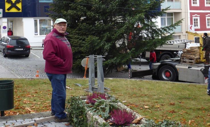 Mit Interesse verfolgte Ludwig Kaltseis die Aufstellung „seines“ Baumes. Foto: Ludwig Kaltseis