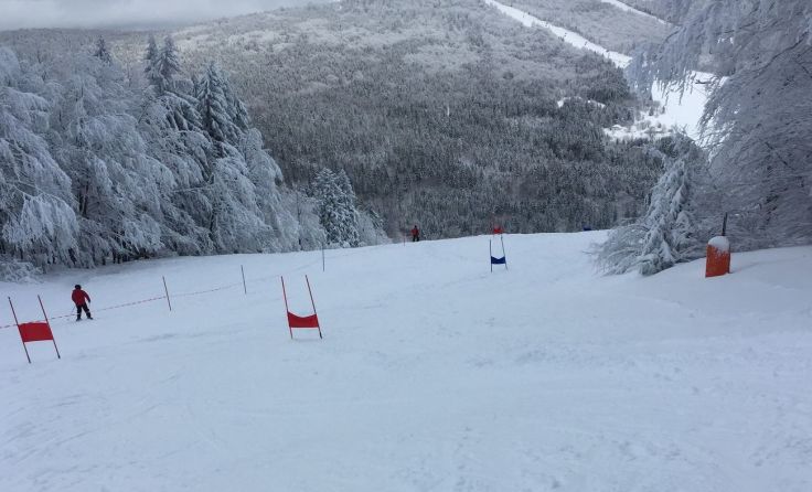 Nach einem schweren Sturz wurde das Rennen am Zwieselberg abgebrochen. Foto: Mühlböck
