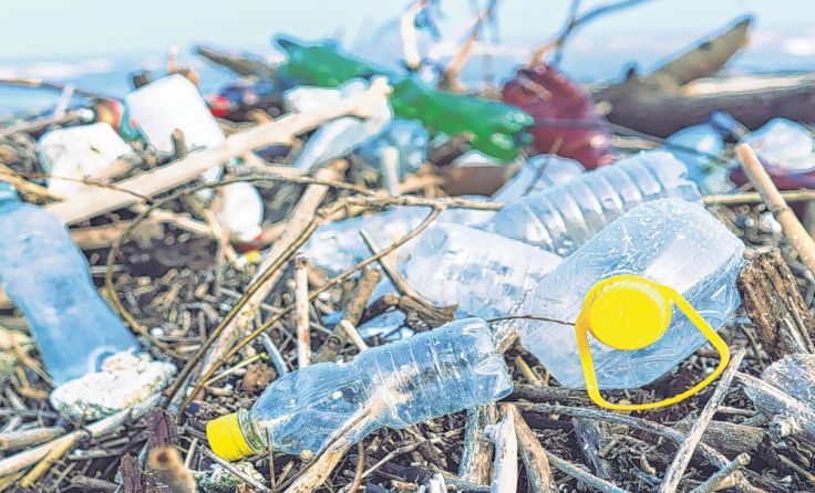  Tipps, wie man Plastik vermeidet, werden beim Vortrag gegeben. Foto: Larina Marina/shutterstock.com