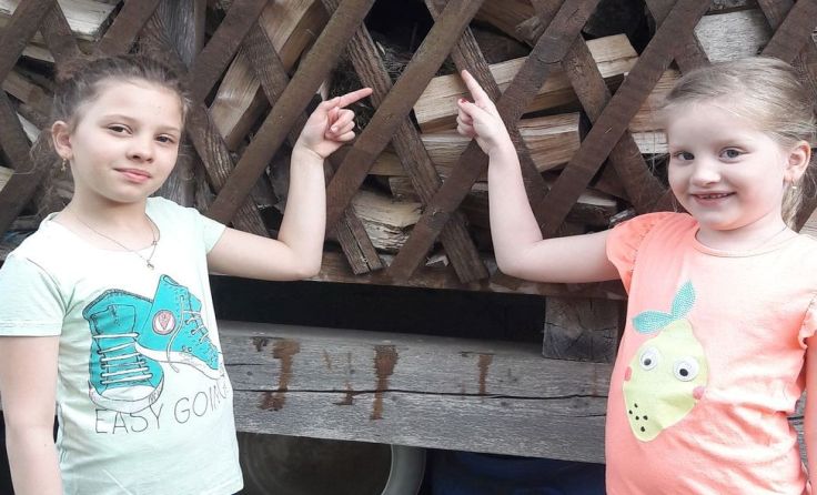 In diesem Holzstapel entdeckten Franziska und Johanna (re.) die Vogelbabys. Foto: privat