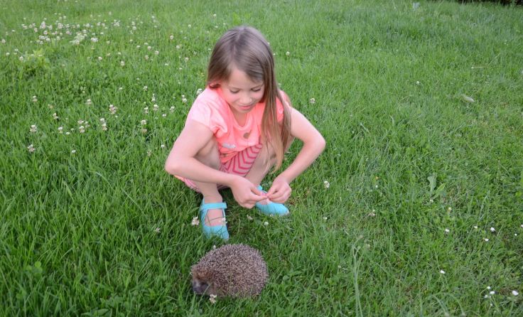 Elisa posierte mit Igel "Hansi". Foto: Josef Pointinger