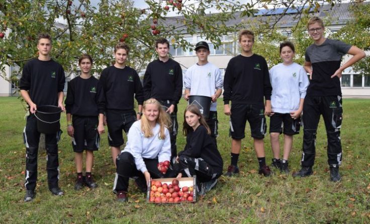 Die Schüler der Fachschule Waizenkirchen beim „Obstklauben“. Foto: LWBFS