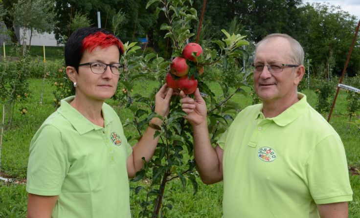 Gabi und Klaus Strasser in ihrem Obst-Sorten-Garten-Ohlsdorf (OSOGO).Foto: Wolfgang Spitzbart, OSOGO