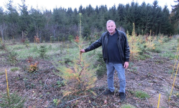 Johann Aschauer freut sich über seinen neuen Wald. Foto: privat