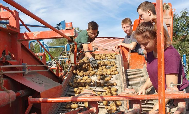 Die Schüler konnten die Ernte mit dem Kartoffelroder hautnah miterleben.Foto: LWBFS Waizenkirchen