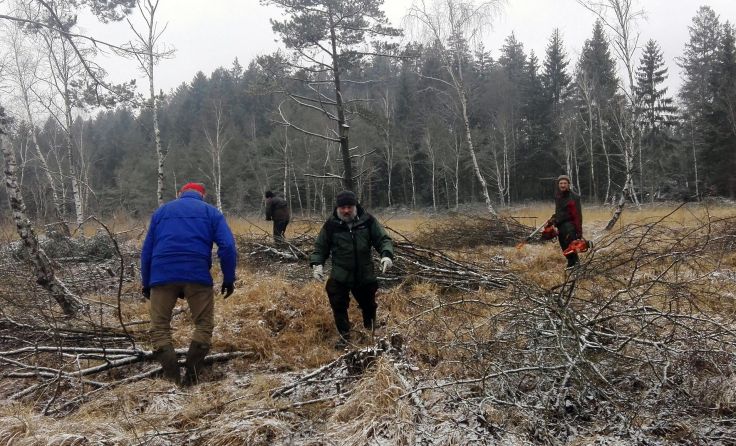 Beim Pflegeeinsatz sollen Äste und Zweige zusammengetragen werden.Foto: Naturschutzbund OÖ