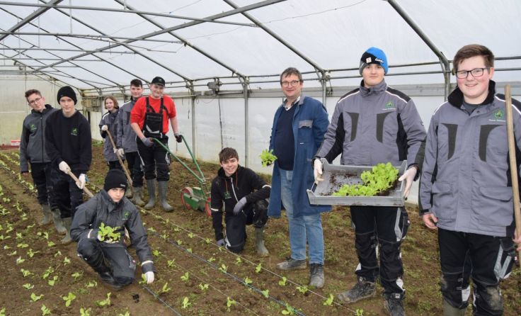 Die Schüler pflanzten ihren ersten Salat. Foto: LWBFS Waizenkirchen
