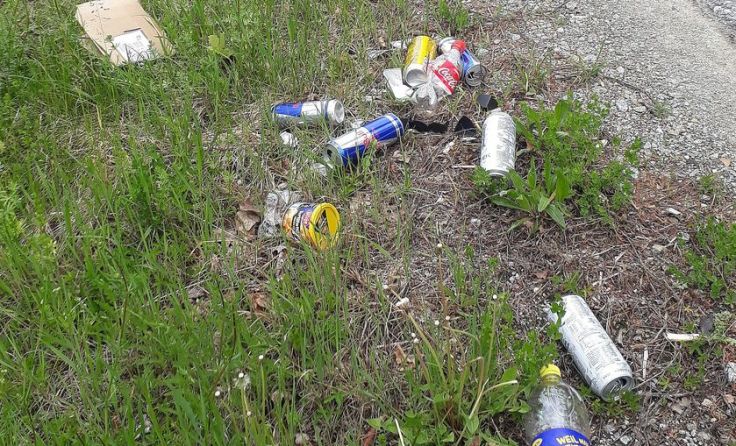 Dosen und Flaschen wurden achtlos am Straßenrand entsorgt. Foto: Josef Pointinger