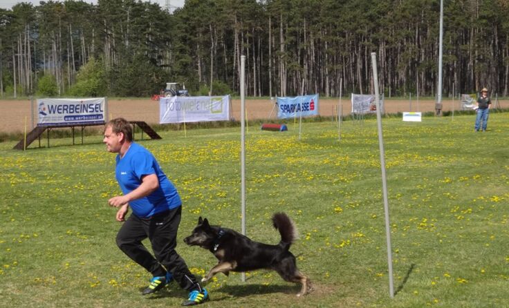 Stefan Altrichter mit Charly im Slalom.