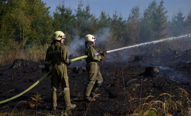 Bilder vom Waldbrand in der Nähe von Gilgenberg (Gemeinde Waldkirchen).