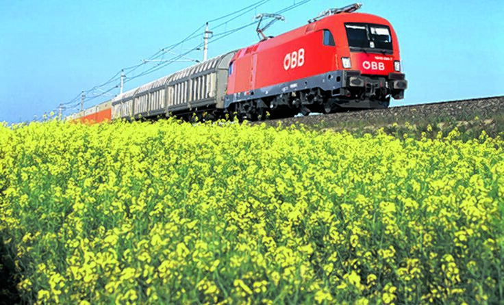 Anlass ist "20 Jahre Elektrifizierung Sigmundsherberg-Gmünd NÖ". Foto: ÖBB-RCG