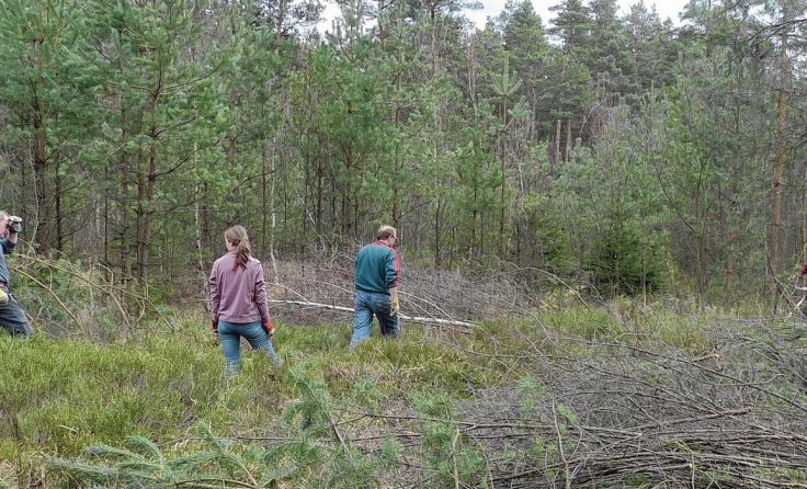 Pflegeeinsatz im Heidenreichsteiner Moor war angesagt. Foto: Alexandra Stanzl 