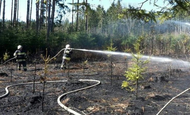 Die Einsatzkräfte der Feuerwehr konnten das Feuer rasch unter Kontrolle bringen.