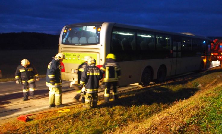 Der Bus kam am Fahrbahnrand zu stehen.