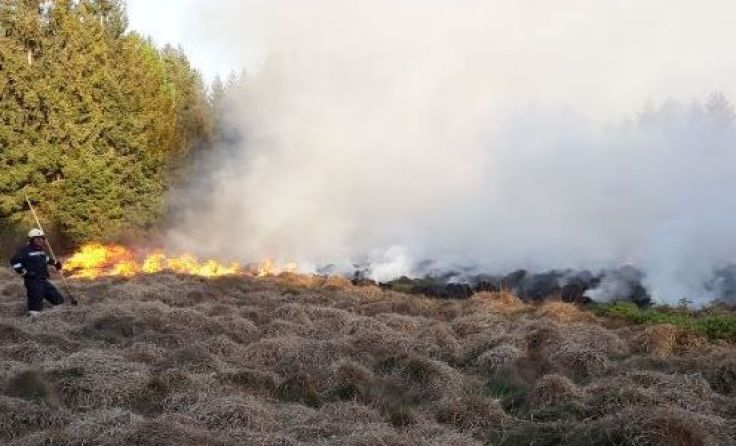 Das Feuer brach im Moor aus.