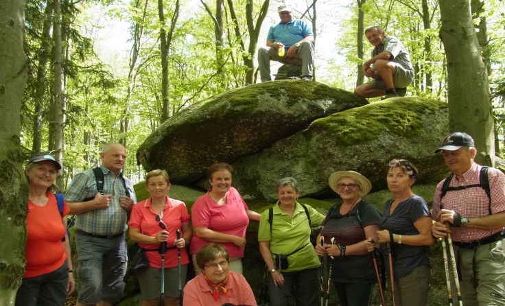 Die zwölf Wanderer konnten die herrliche Frühlingsnatur genießen.
