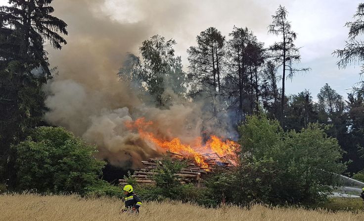 Das Feuer hatte sich rasch auf den Hochwald ausgebreitet.