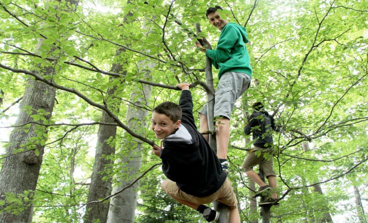 Challenge accepted mit Georg Bramauer und Jonas Skohautil, Foto Jugendhaus Schacherhof
