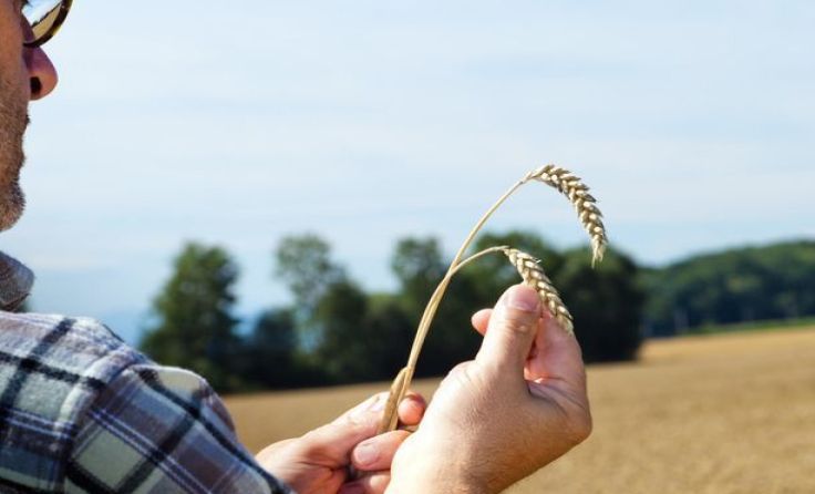 Der Vortrag "Alles bio oder was" wurde als nicht empfehlenswert empfunden. Foto: Vowe