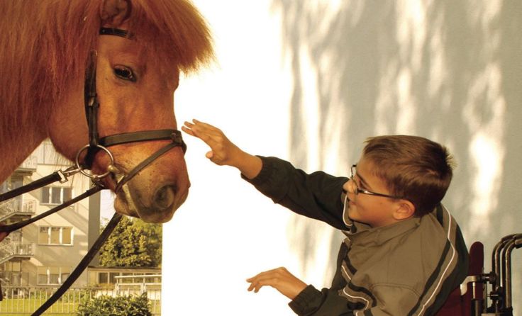 Der Erlös kommt dem integrativen Reitzentrum der Caritas zugute.Foto: Caritas
