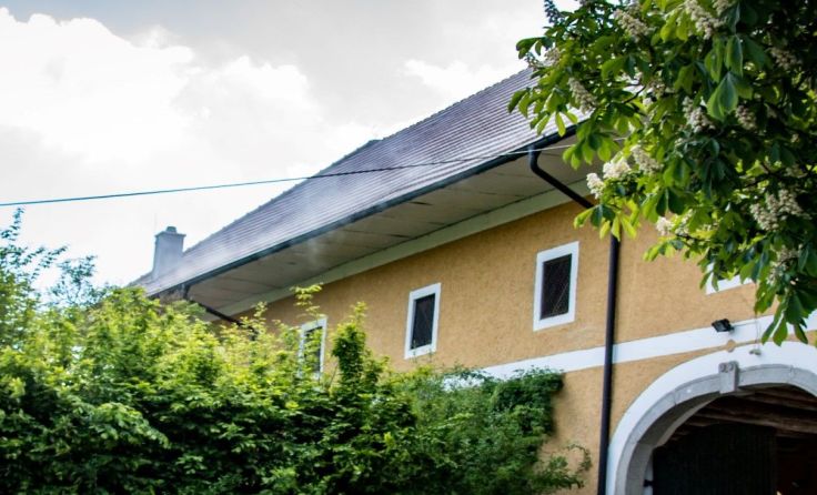 Fotos: Buschek