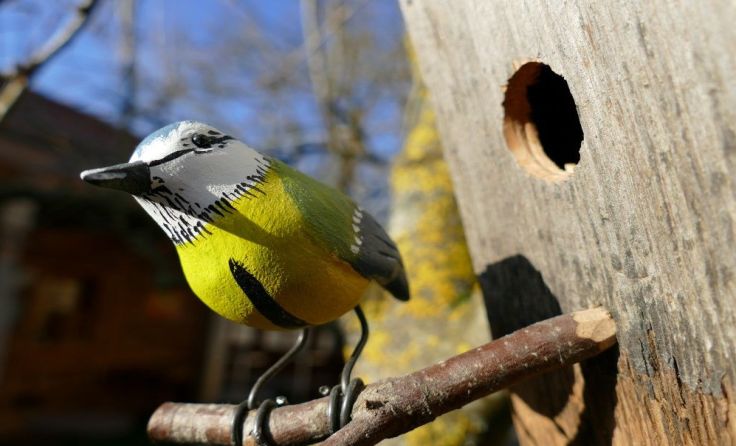 Unter anderem ein Vogelschnitzer zeigt in Oftering seine Kunst. Foto: Wild