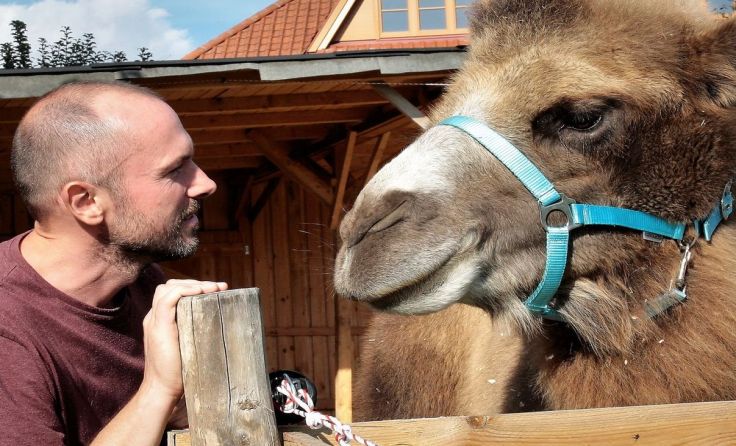 Markus Koplmüller hofft, dass er seine Kamele behalten darf.