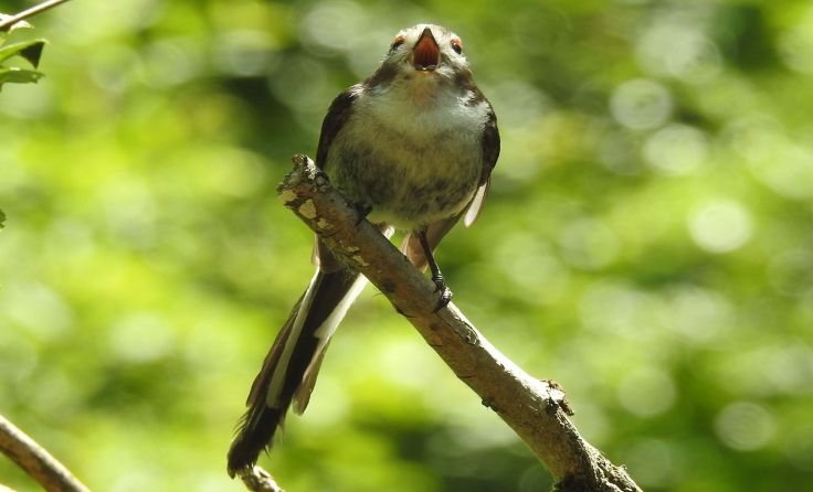 Alle Fotos: Florian Mayr