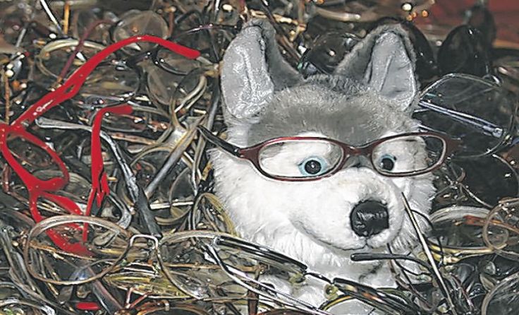Altbrillen bereit für den Versand; Foto: Lions Club Enns-St. Valentin