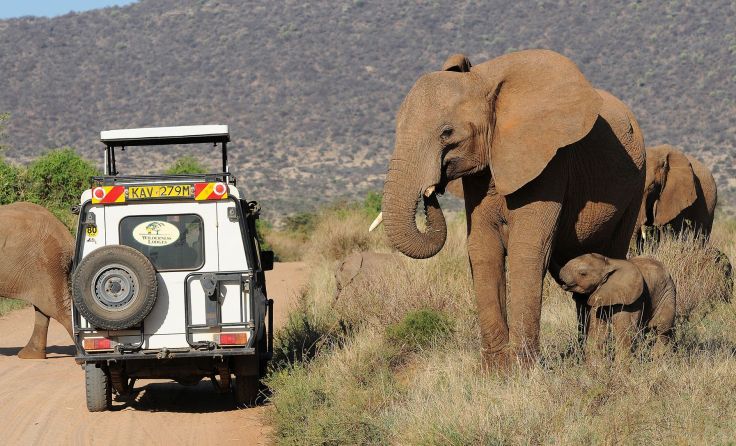 Alle Fotos: Wolfgang Kunstmann