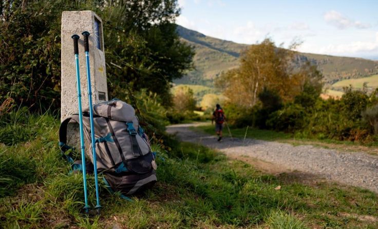 Symbolfoto (Foto: Davide Bonaldo/Shutterstock.com)