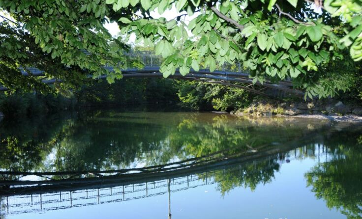 Fotobeispiel von der Ausschreibung zum Fotowettbewerb                  Foto: Schwarz