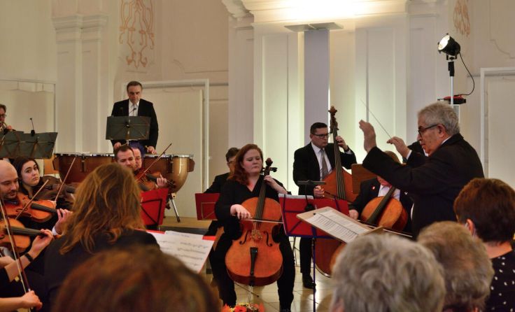 Kammerorchester unter Dirigent Juan Rodriguez Romero (Foto: Camerata Austriaca OÖ)