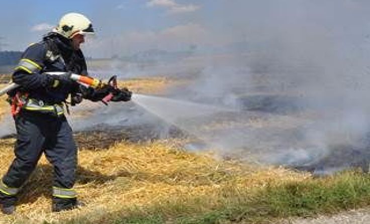 Die Ursache des Brandes ist unklar. Foto: Freiwillige Feuerwehr Irndorf 