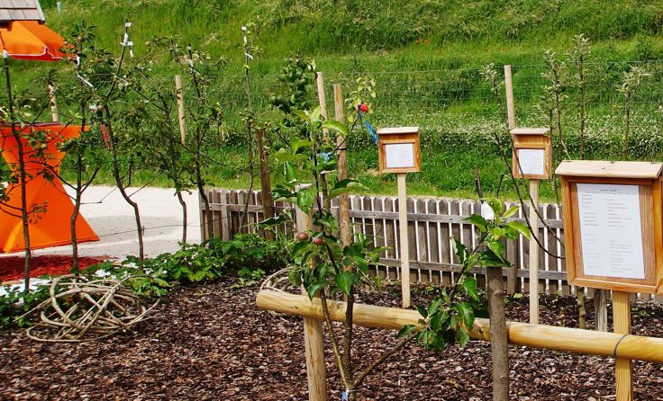 Der neu angelegte Schulungsgarten mit verschiedenen Baumformen Foto: Alfred Spannring
